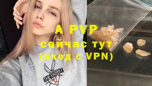 гашик Аркадак