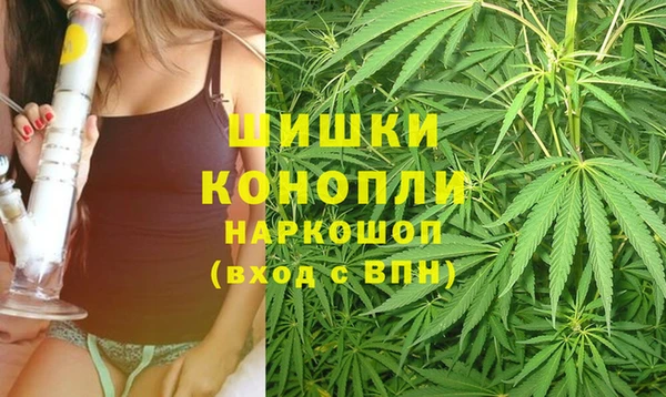 спиды Арсеньев